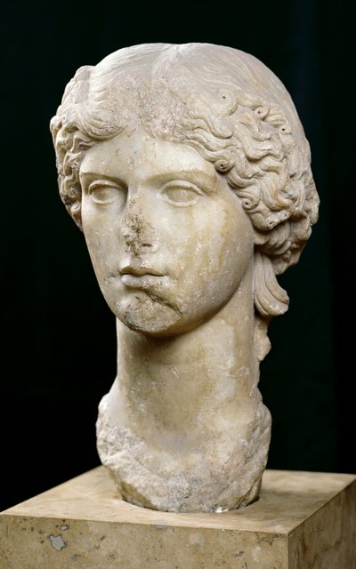 Bust of Agrippina the Elder (c.14 BC-33 AD) c.37-41 AD by Roman